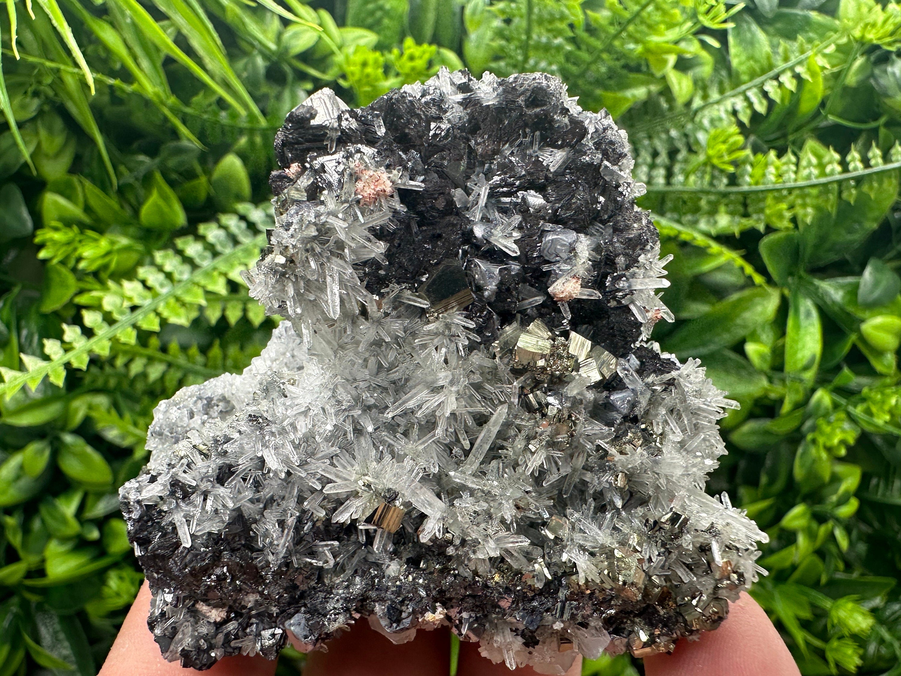 Sphalerite Galena Pyrite on Quartz, Borieva Mine Mineral Specimen