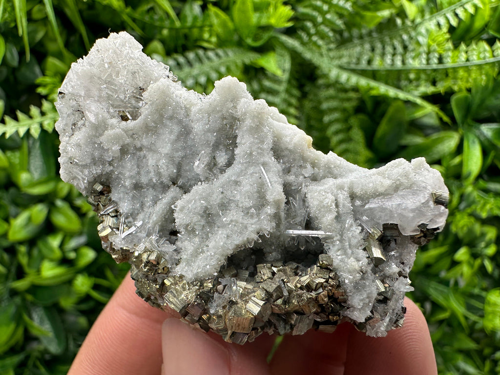 Pyrite on Quartz: Borieva Mine Crystal Home Decor