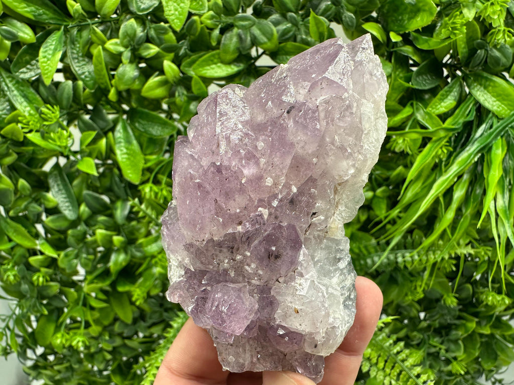 Brazilian Amethyst Cluster, Purple Quartz Crystal Specimen