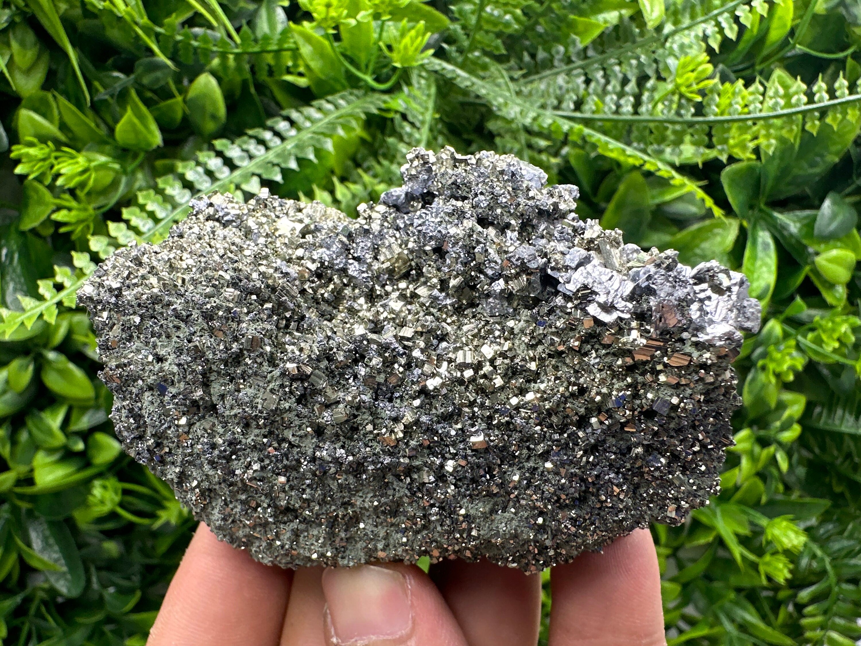 Galena on Pyrite Specimen: Borieva Mine, Bulgaria
