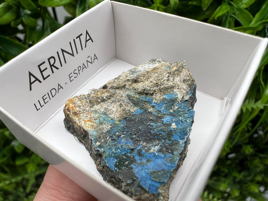 Rare Raw Aerinite Mineral Specimen: Collection Crystal from Lleida, Spain (3.5/3 cm