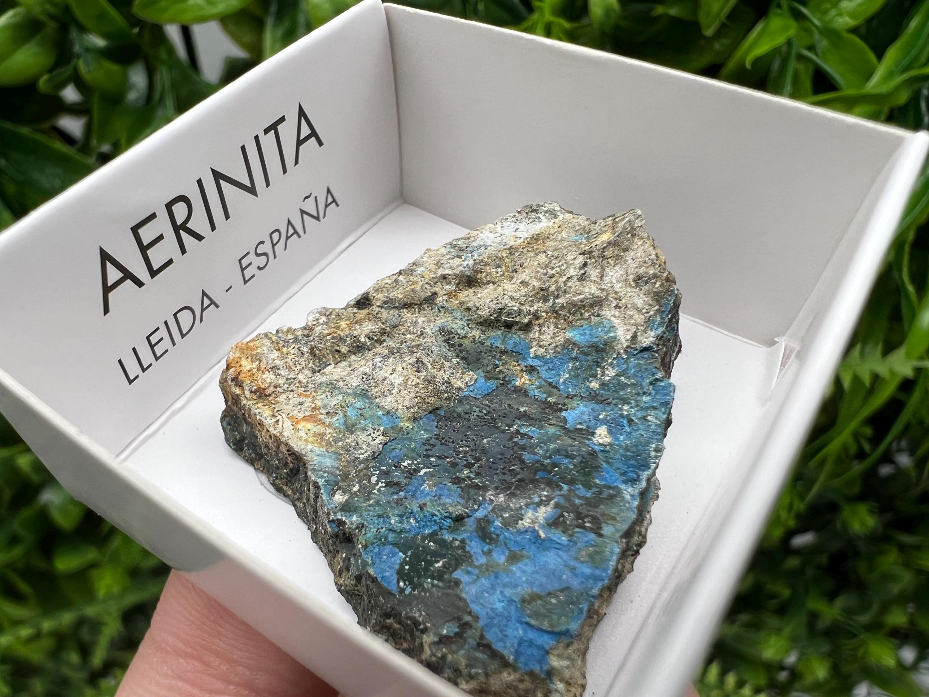 Rare Raw Aerinite Mineral Specimen: Collection Crystal from Lleida, Spain (3.5/3 cm