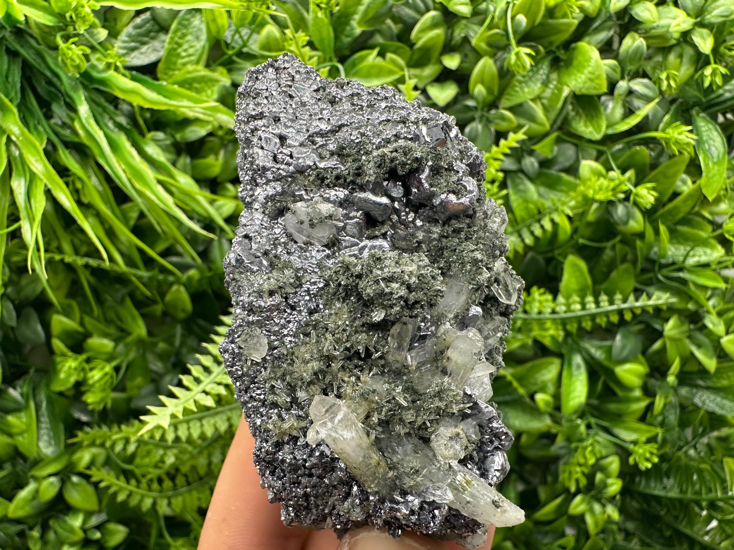 Galena with Quartz and Chlorite, Bulgaria Mineral Specimen