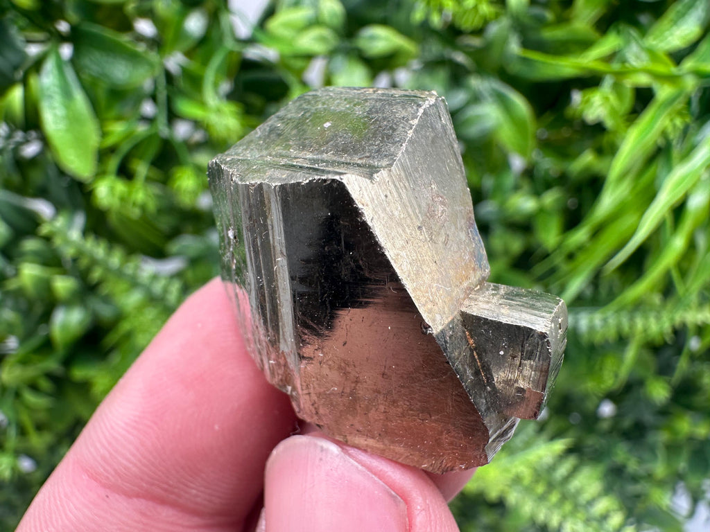 Rare crystallisation Pyrite,Borieva mine,Bulgaria,floating Pyrite,golden Pyrite,Pyrite cluster,mini Collection specimen,Rainbow Pyrite