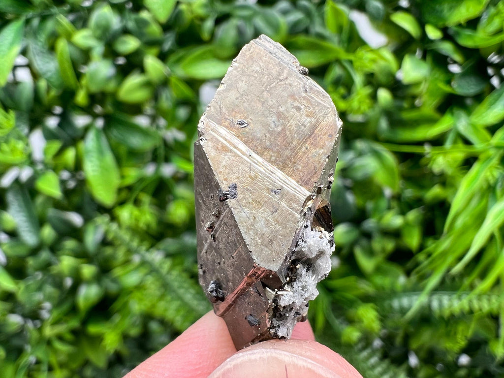Mini Rainbow Pyrite Cluster: Borieva Mine, Bulgaria