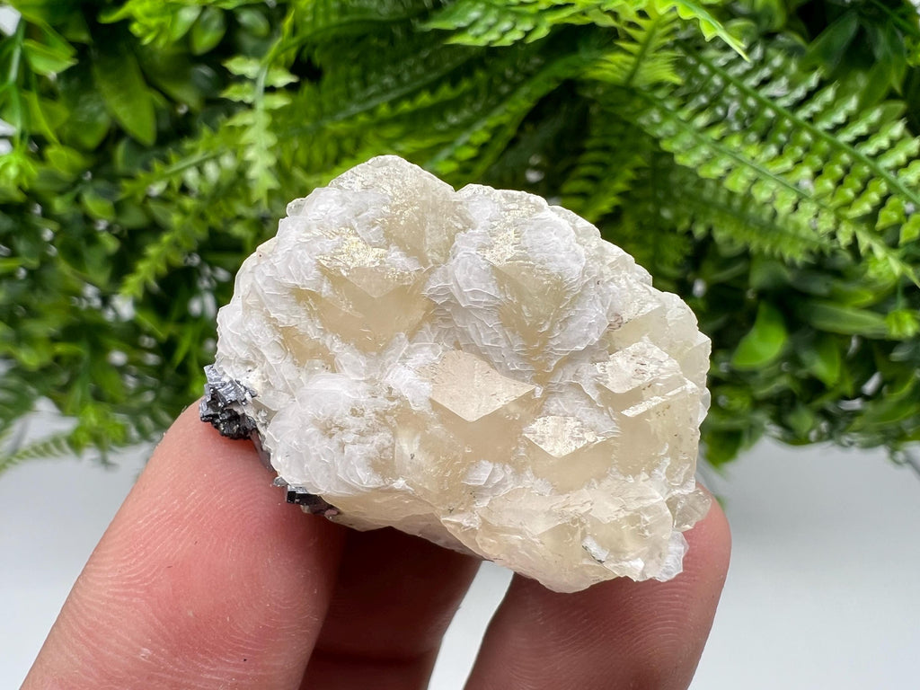 Calcite on Galena Specimen: Borieva Mine, Bulgaria