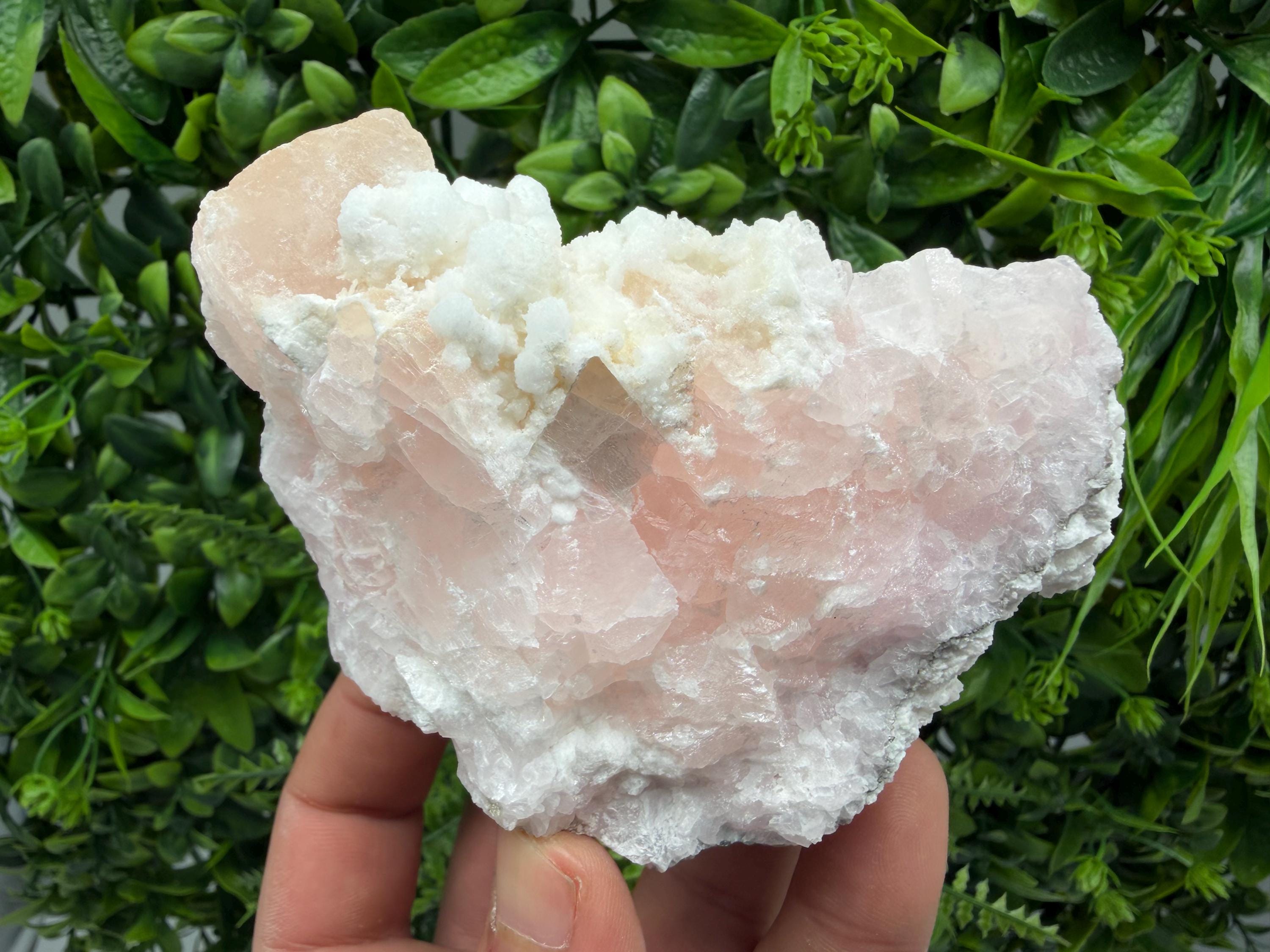 UV Reactive Mangano Calcite Crystal, Androvo Mine Bulgaria