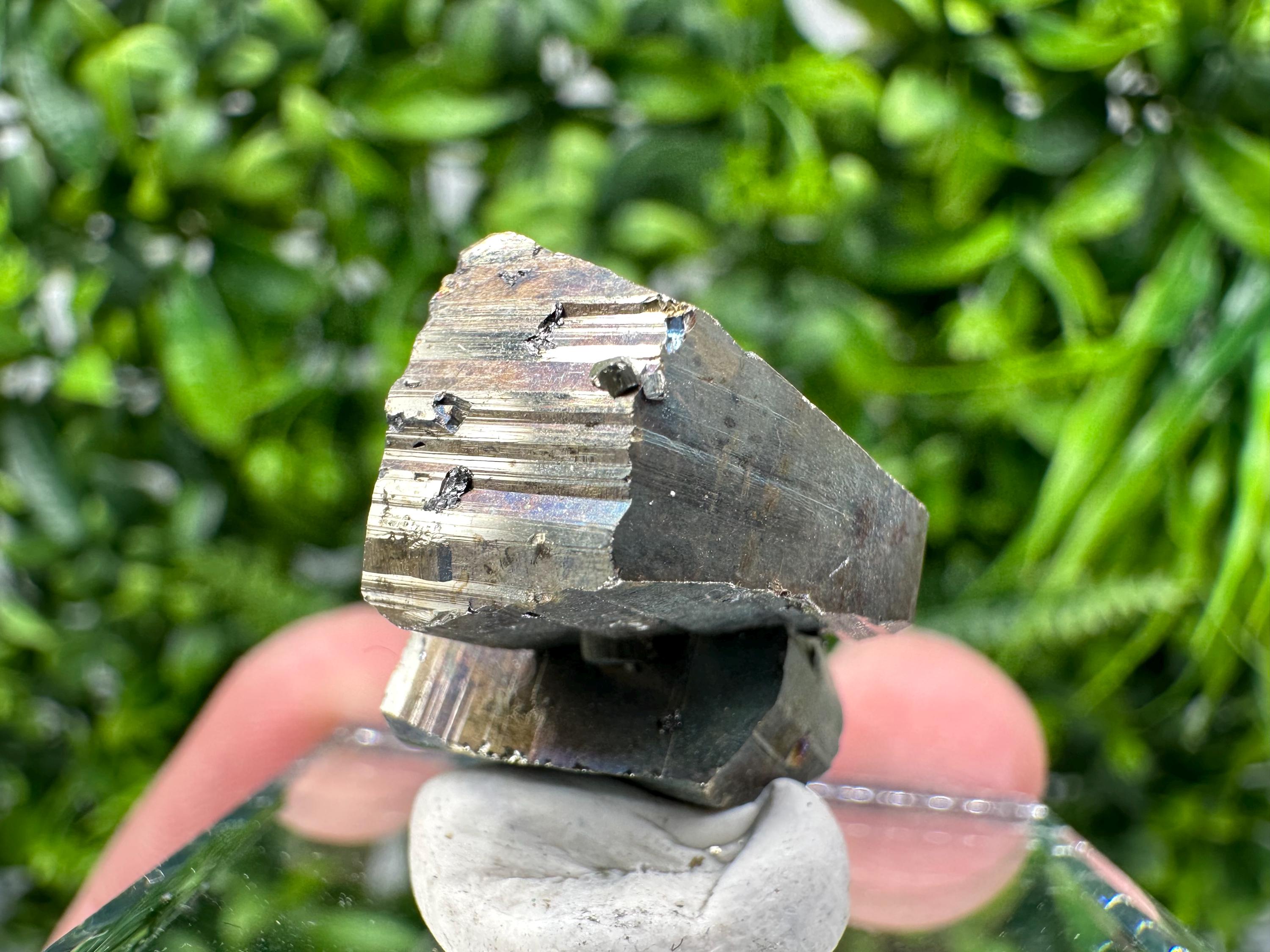 Mini Crystallization Pyrite Specimen, Borieva Mine, Bulgaria