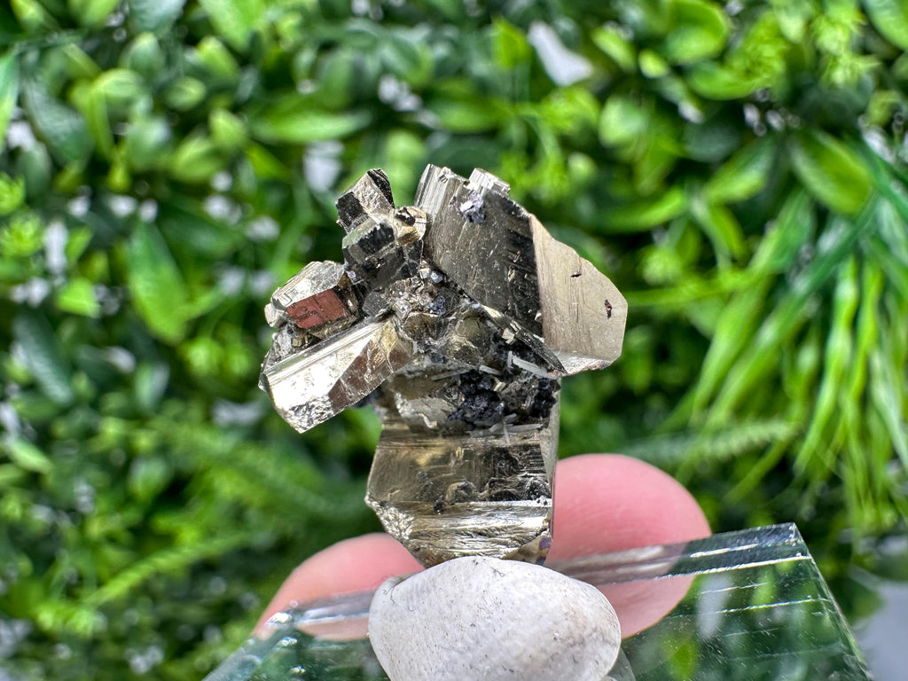 Rare Rainbow Pyrite Cluster: Borieva Mine, Bulgaria
