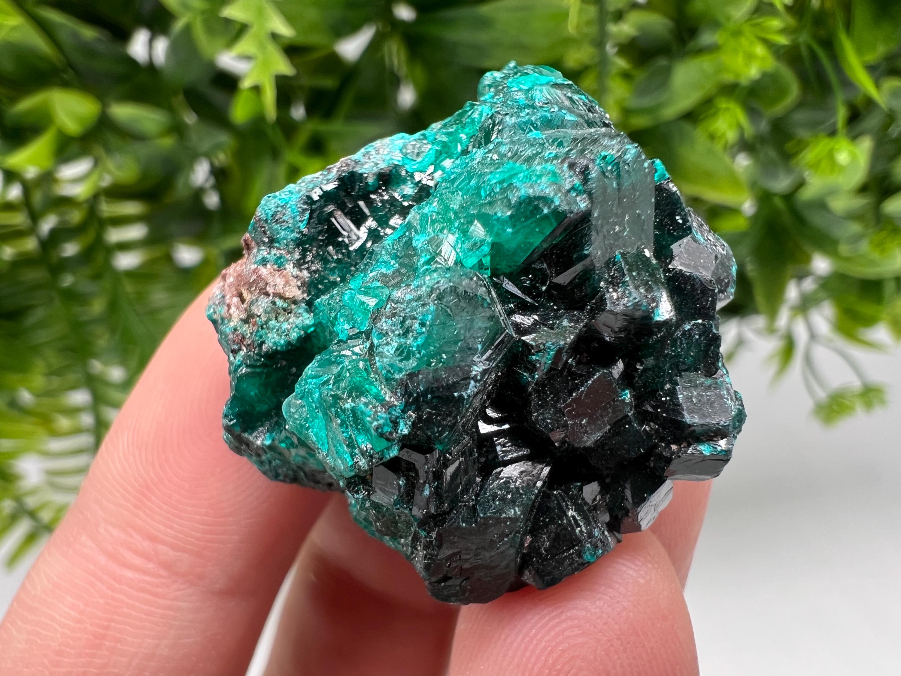 Stunning Green Dioptase from Sanda Hills,Mindouli,Pool Department,Mindouli District,Congo,green Dioptase,Dioptas Crystal,Dioptase collecting