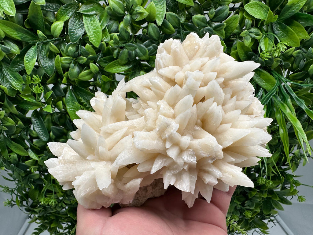 Calcite on Aragonite Crystal Cluster - Djurcovo Mine, Bulgaria