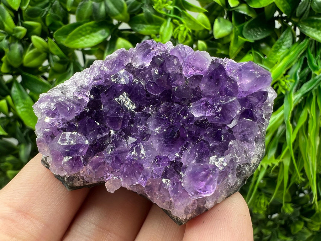 Uruguay Amethyst Crystal: Purple Quartz Phantom - Home Decor