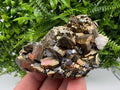 Galena on Pyrite Specimen: Borieva Mine, Bulgaria