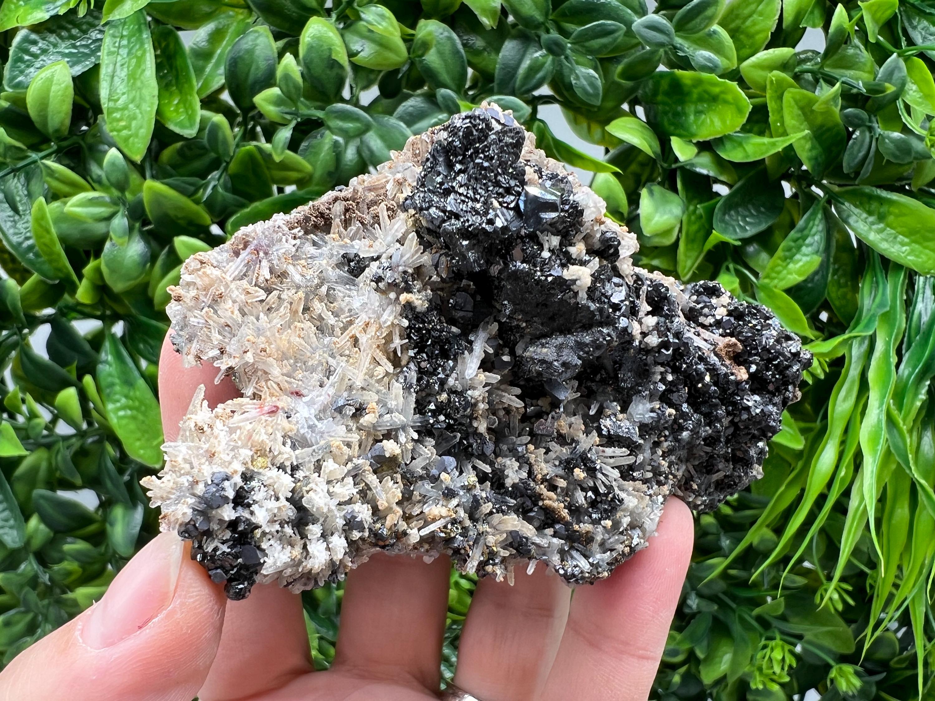 Aesthetic Natural shiny Galena whit Siderite and Quartz from 9 th September mine,Bulgaria,collection specimen,rare galena,Galena cluster