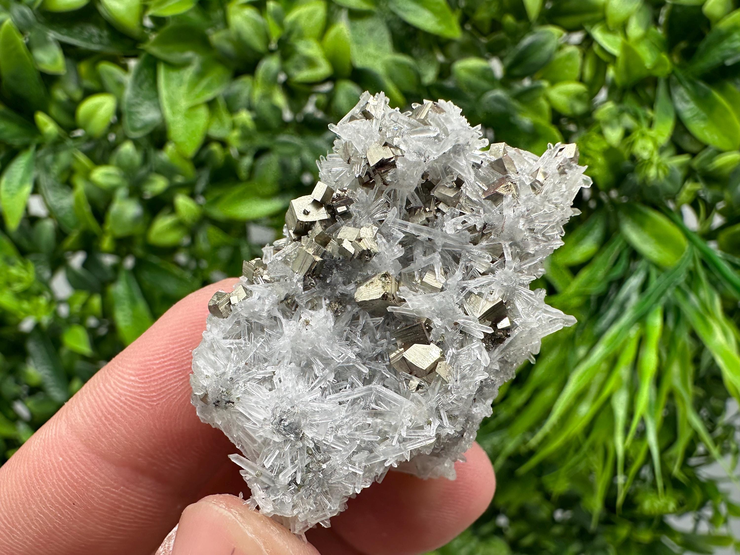 Pyrite on Green Quartz Mineral Specimen, Borieva Mine Bulgaria