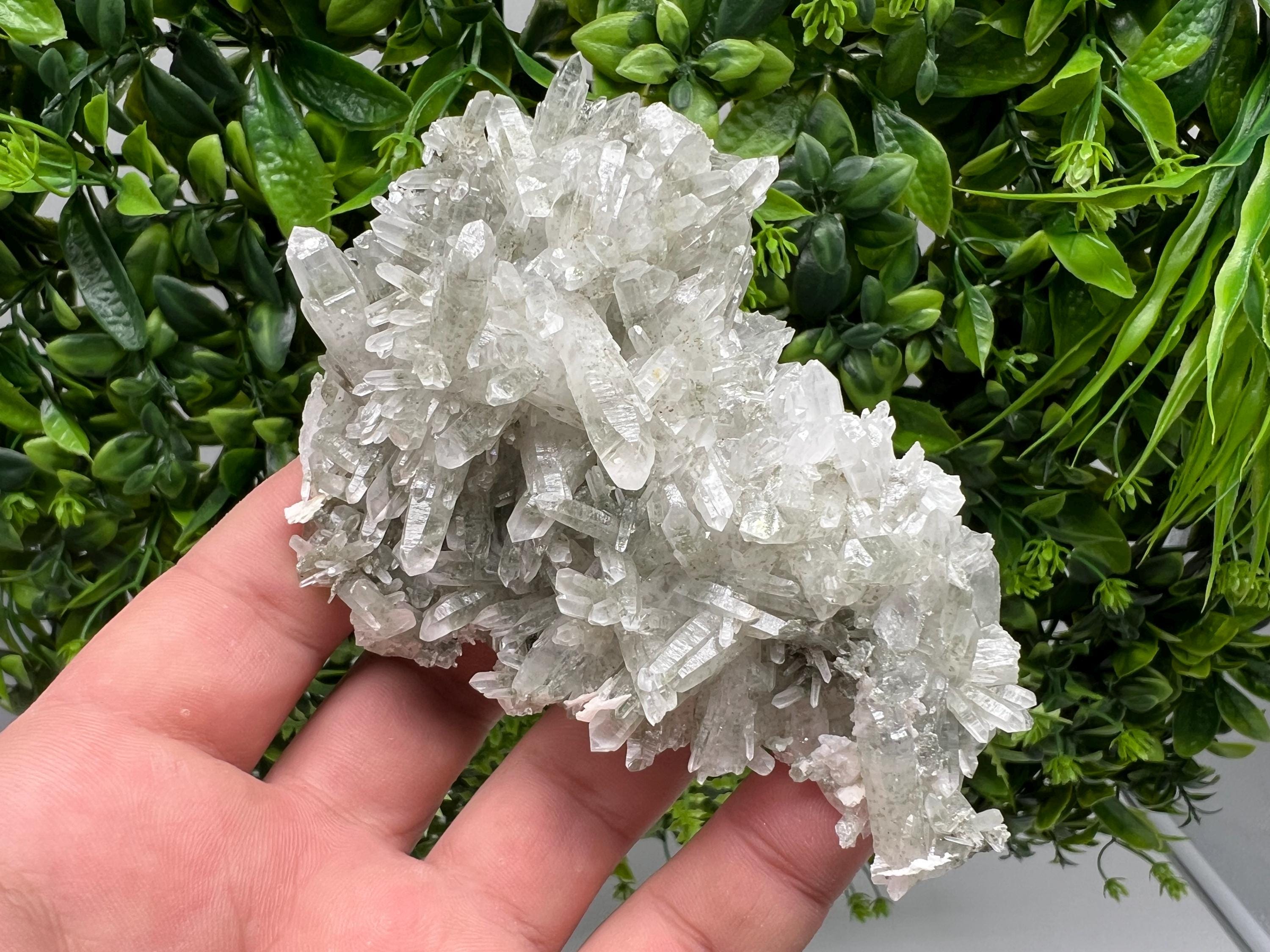 Chlorite Quartz Crystal Cluster - Borieva Mine, Bulgaria