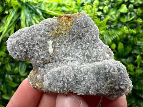 Chlorite Quartz Crystal with Iron Oxide Inclusion