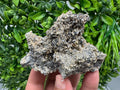 Pyrite Galena on Green Quartz: Chlorite Mineral Specimen, Bulgaria