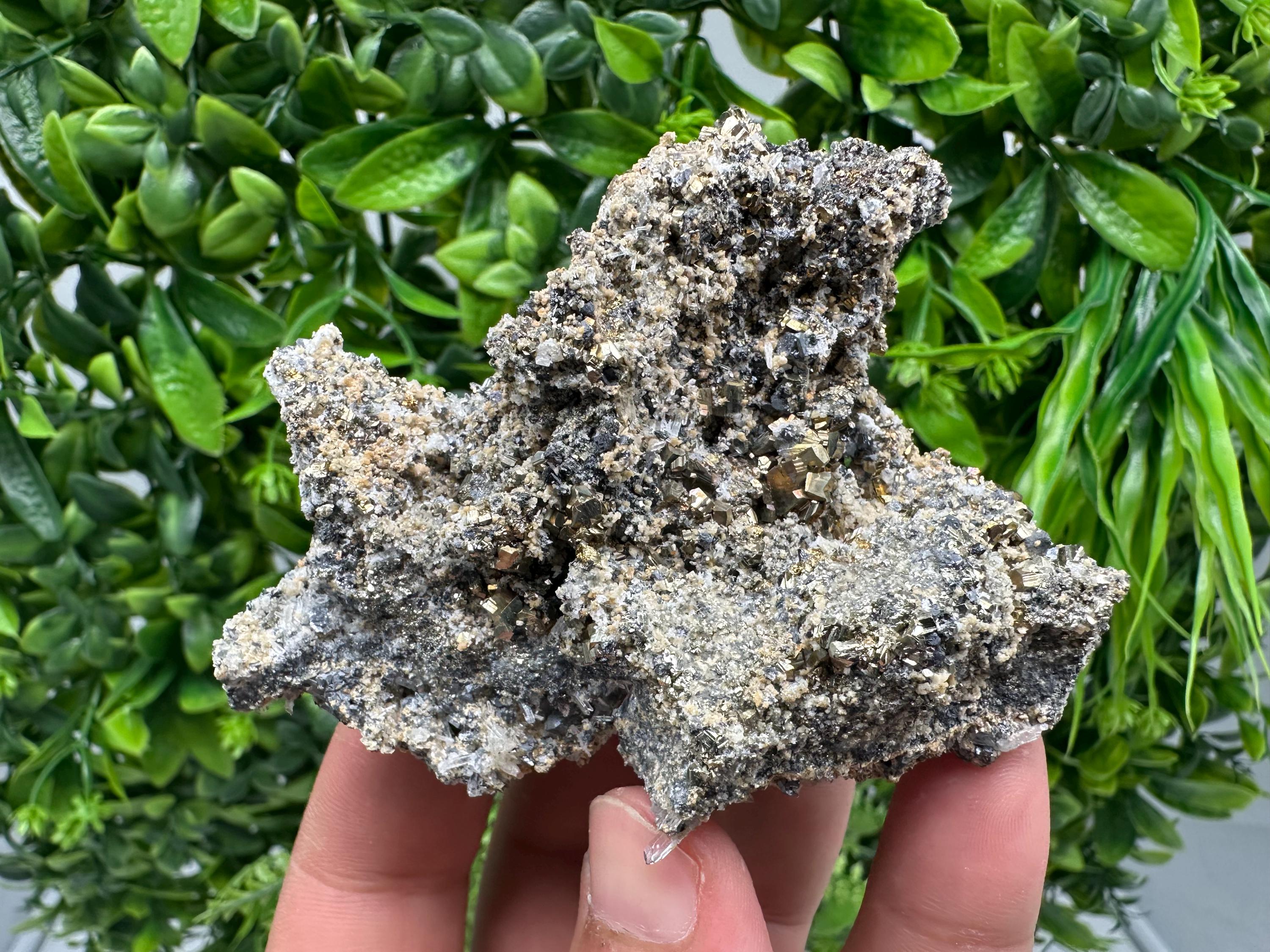 Pyrite Galena on Green Quartz: Chlorite Mineral Specimen, Bulgaria