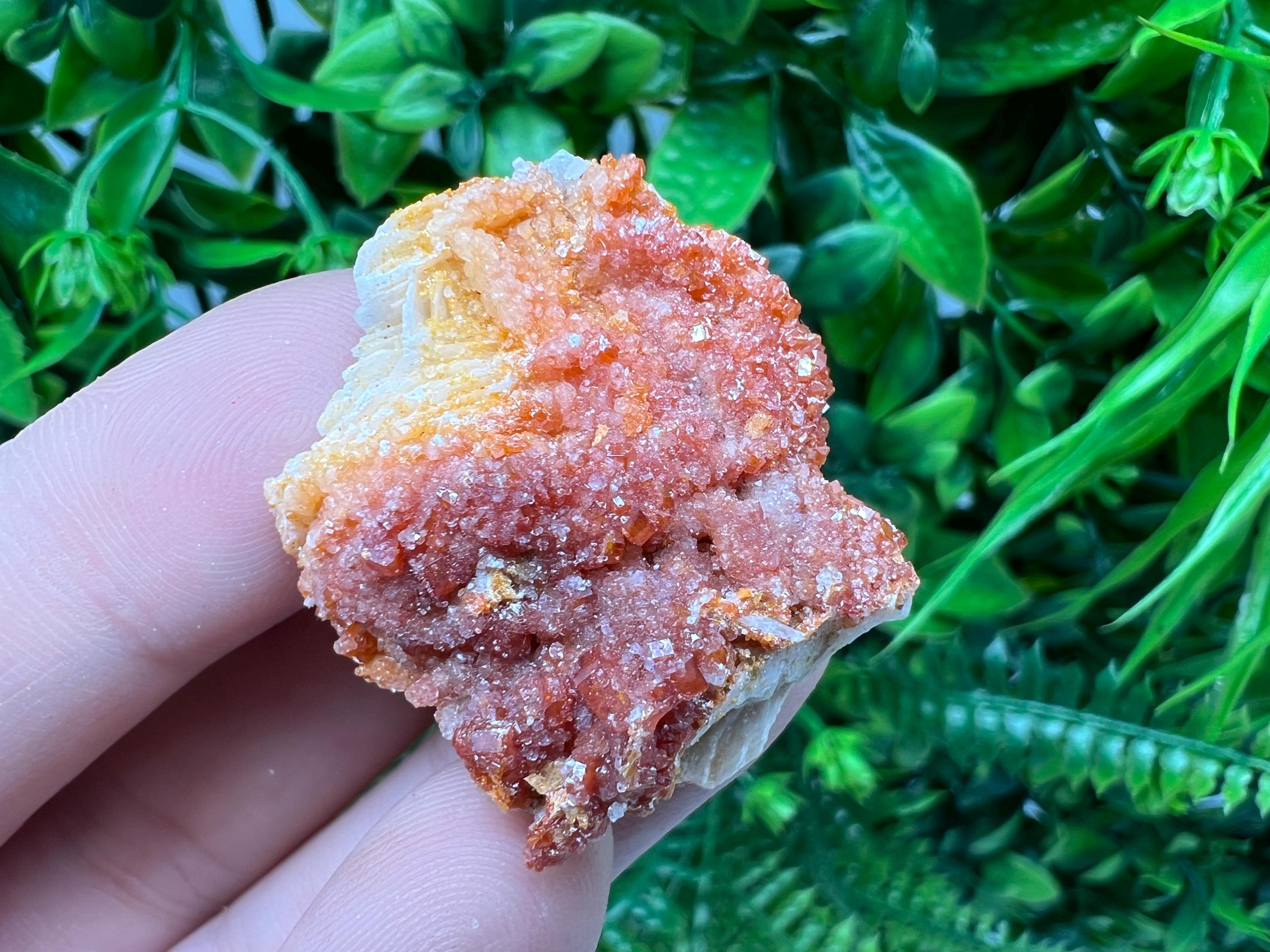 Red Vanadinite on Barite from Marocco,crystal minerals Speciment cluster Vanadinite crystal Vanadinite Geology Vanadinite cluster minerals