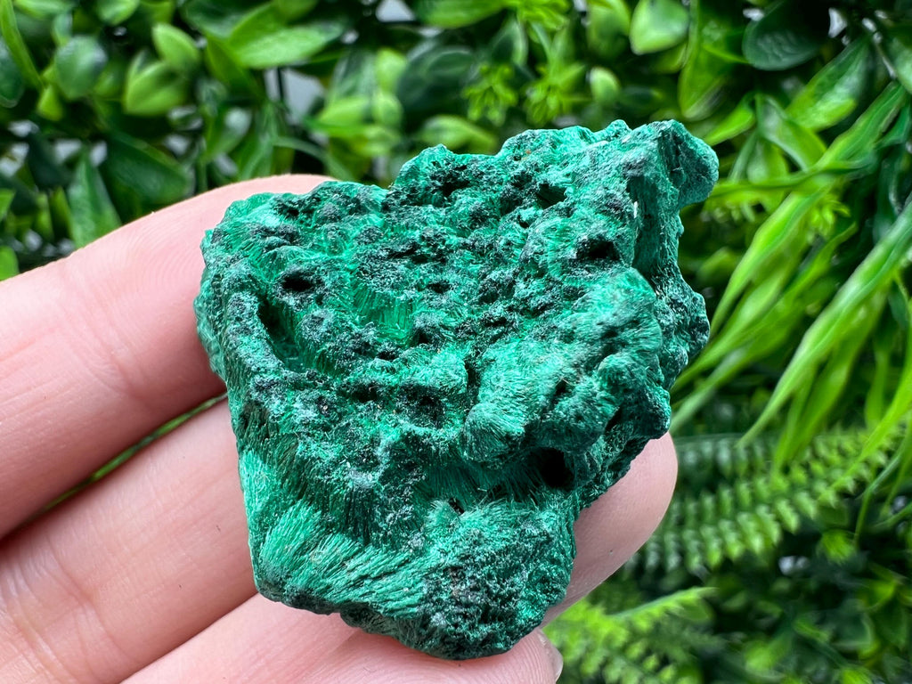Malachite Crystal from Congo,Minerals,Crystals from Congo,Green Malachite, Malachite,Natural Malachite,Malachite Stone,Chakra, Specimens
