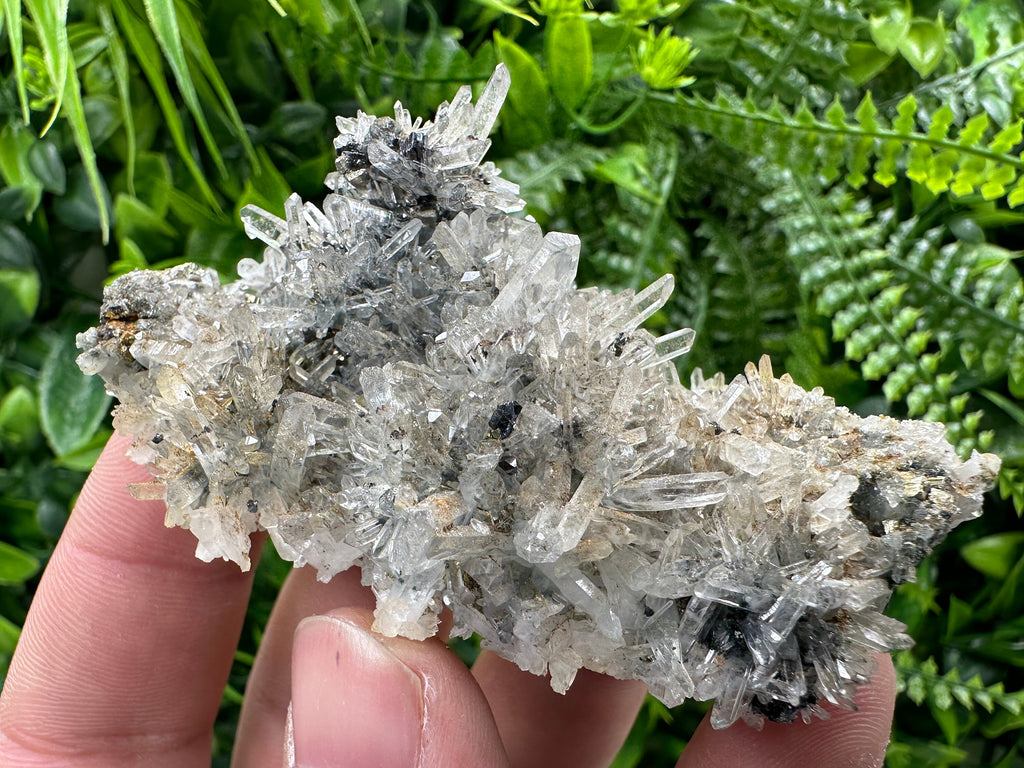Pyrite Sphalerite on Quartz, Borieva Mine, Bulgaria (8/6/3 cm)