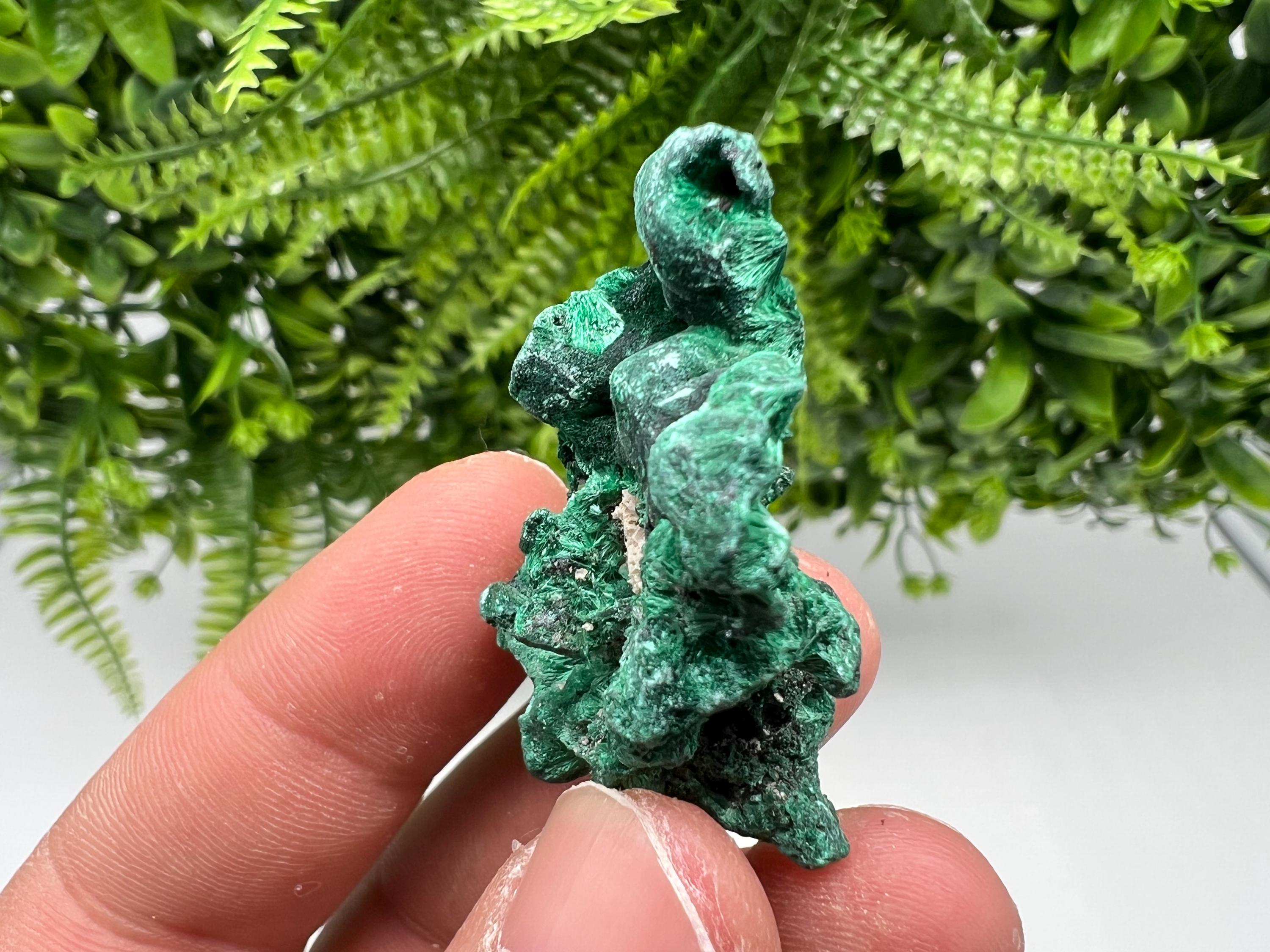 Malachite Crystal from Congo,Minerals,Crystals from Congo,Green Malachite, Malachite,Natural Malachite,Malachite Stone,Chakra, Specimens