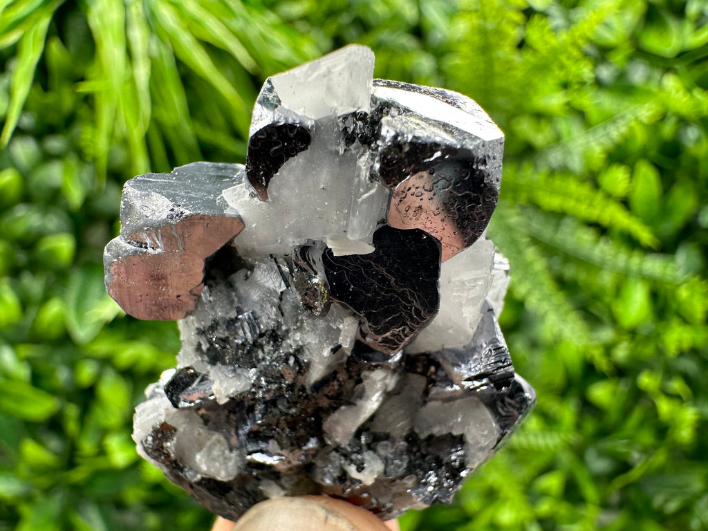 Galena with Calcite Crystal: Borieva Mine, Bulgaria