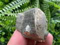 Natural Pyrite Crystal, Shiny Fool's Gold Mineral, Borieva Mine
