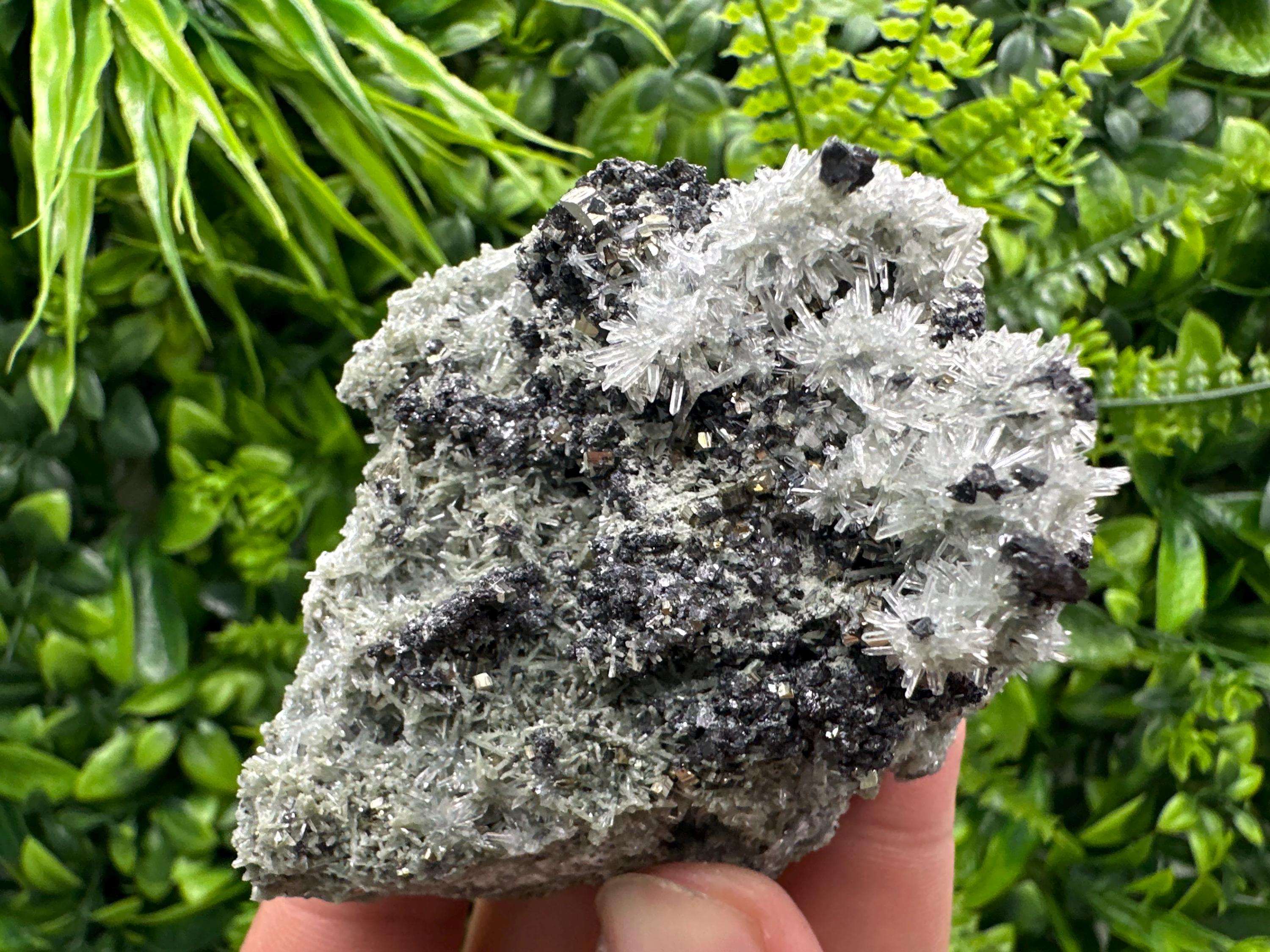 Sphalerite Pyrite on Quartz with Chlorite, Borieva Mine Mineral Specimen