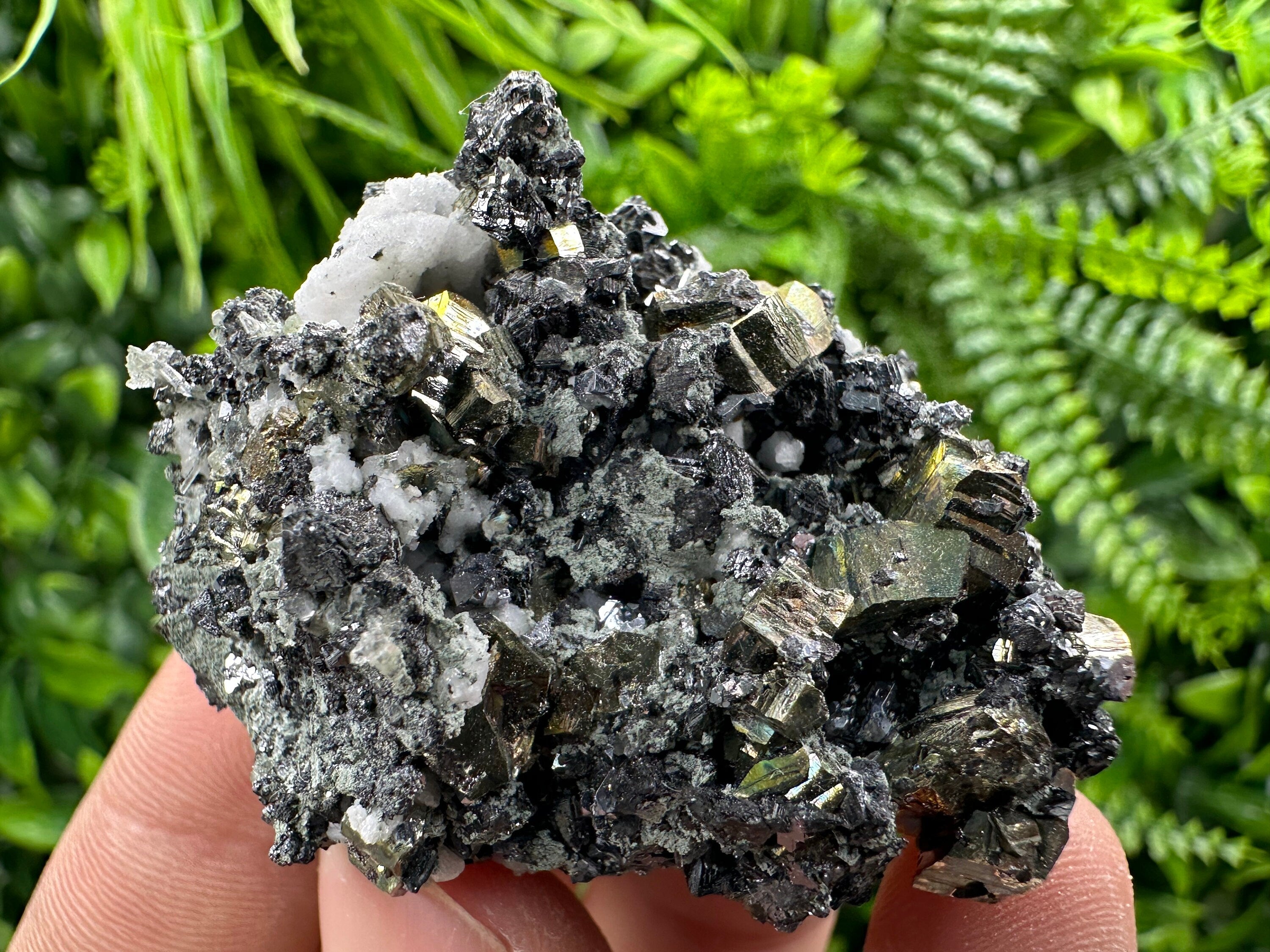 Rainbow Pyrite on Sphalerite and Quartz from Borieva Mine, Bulgaria