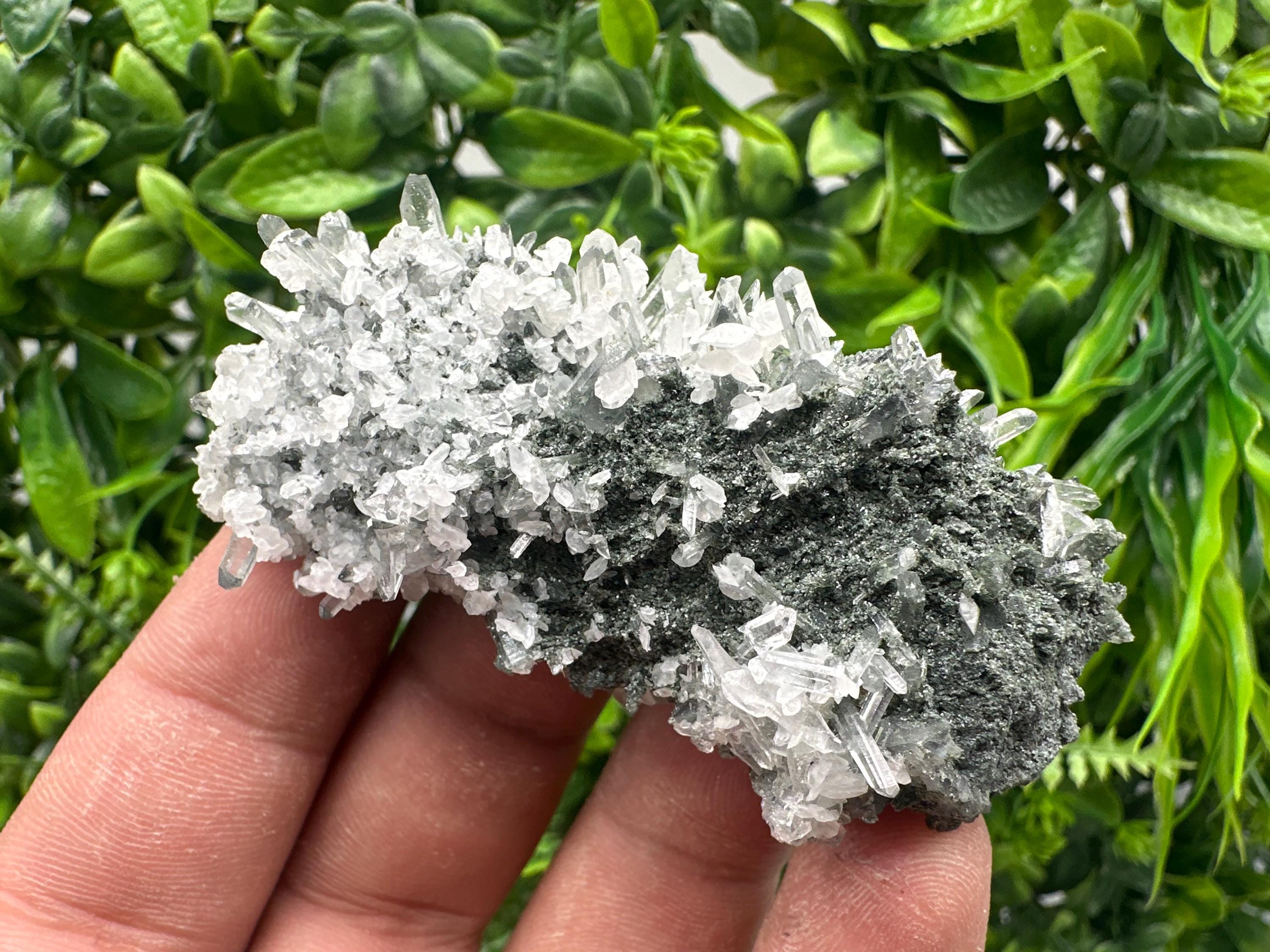 Transparent Quartz on Chlorite Matrix, Borieva Mine Mineral Specimen