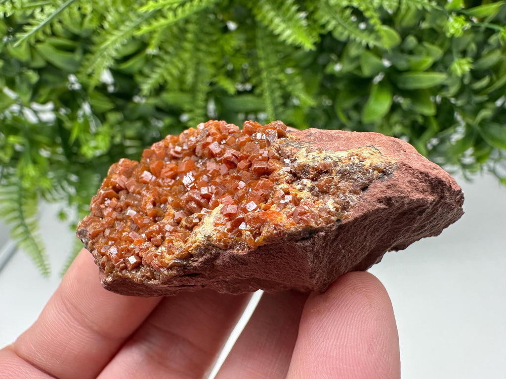 Red Vanadinite on Matrix from Marocco,crystal minerals Speciment cluster Vanadinite crystal Vanadinite Geology Vanadinite cluster minerals