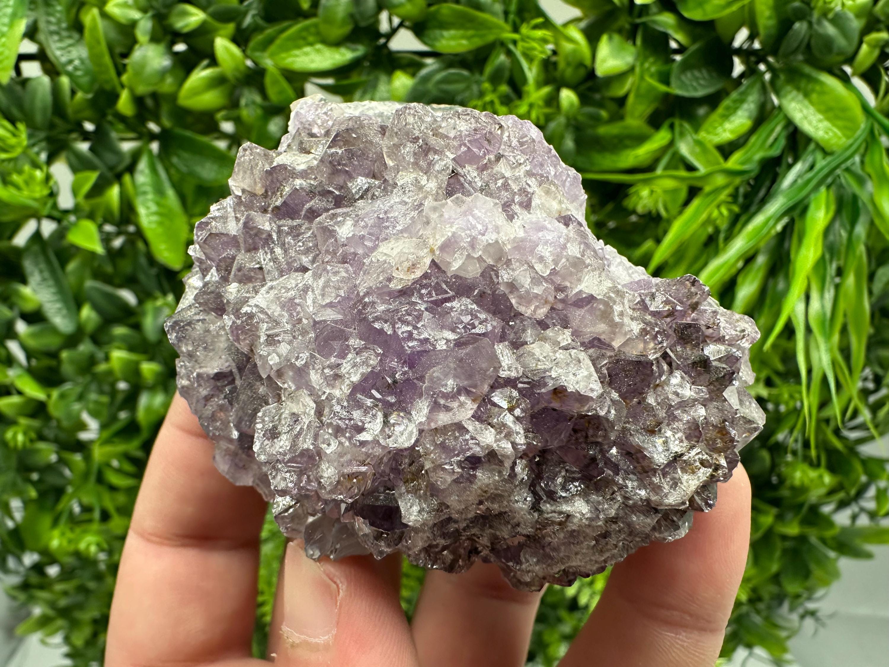 Brazilian Amethyst Cluster, Purple Quartz Crystal Specimen