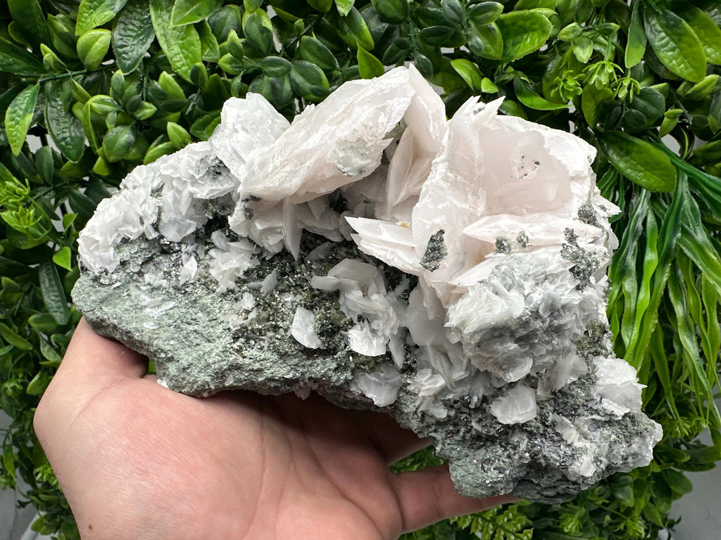 Mangano Calcite Wings on Chlorite Matrix, Bulgaria Mineral Specimen