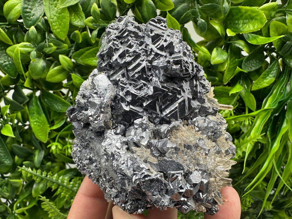 Galena Cluster with Quartz, Krushev Dol Mine, Bulgaria