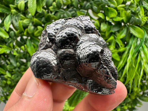 Botryoidal Black Hematite Specimen: Moroccan Crystal for Reiki Chakra
