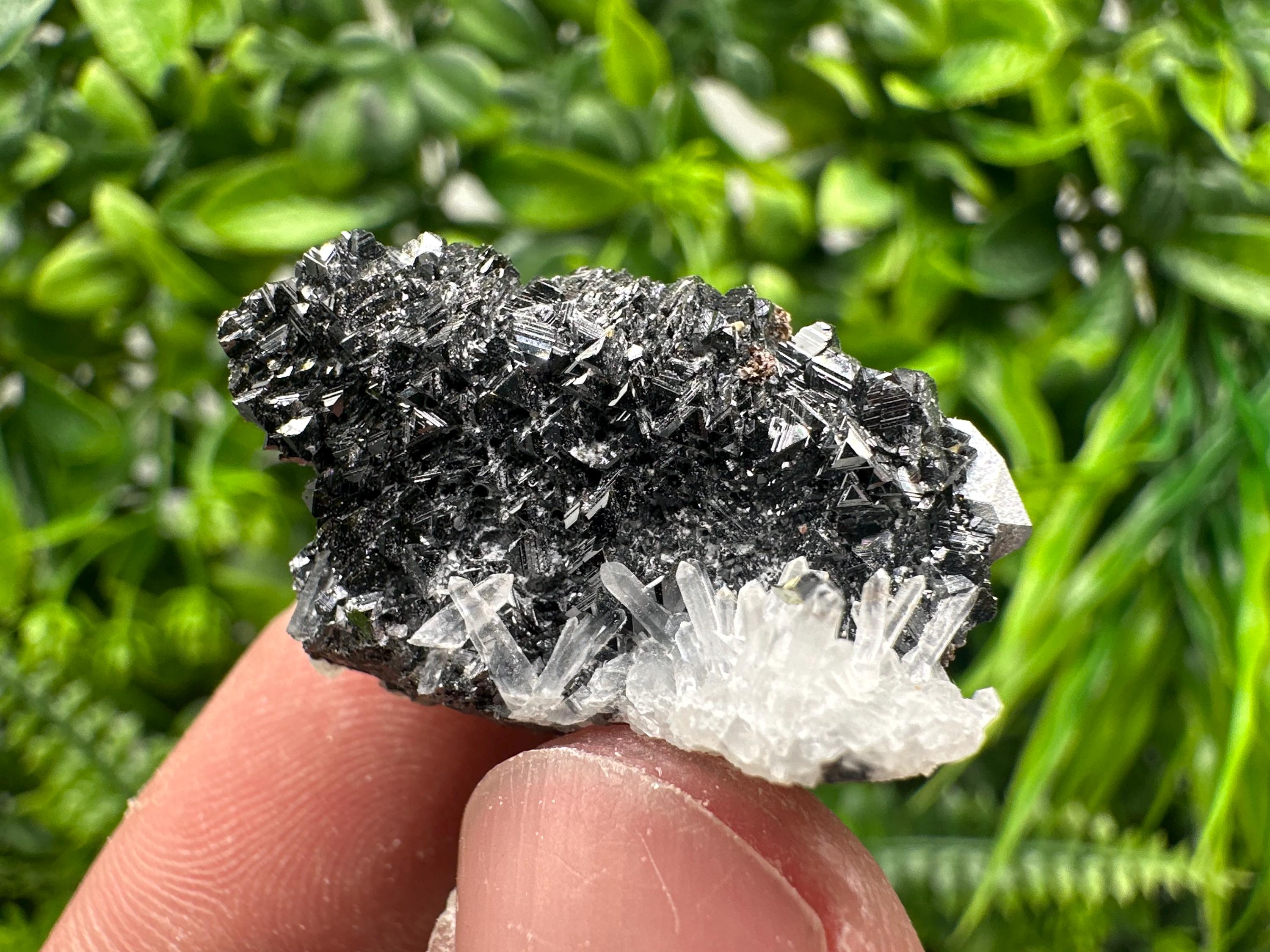 Sphalerite on Green Quartz, Borieva Mine Mineral Specimen