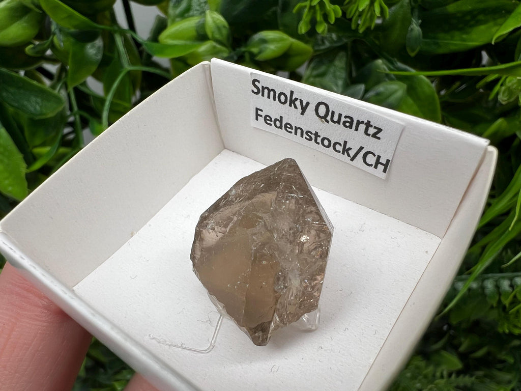 Rare Smoky Quartz Point, Fedenstock Switzerland Mineral Specimen (22/22 MM)