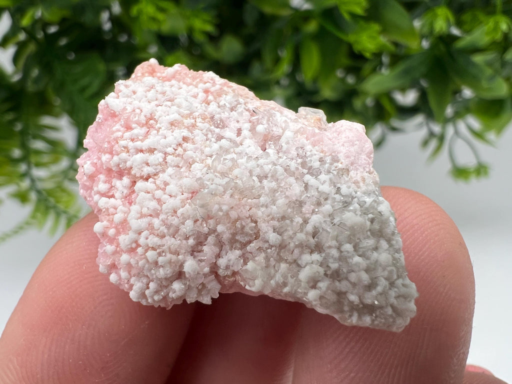 RARE Rhodochrosite whit white Calcite,pink mineral,Starnica Mine,Davidcovo,Bulgaria natural mineral,souvenir crystal,home decor,collectible