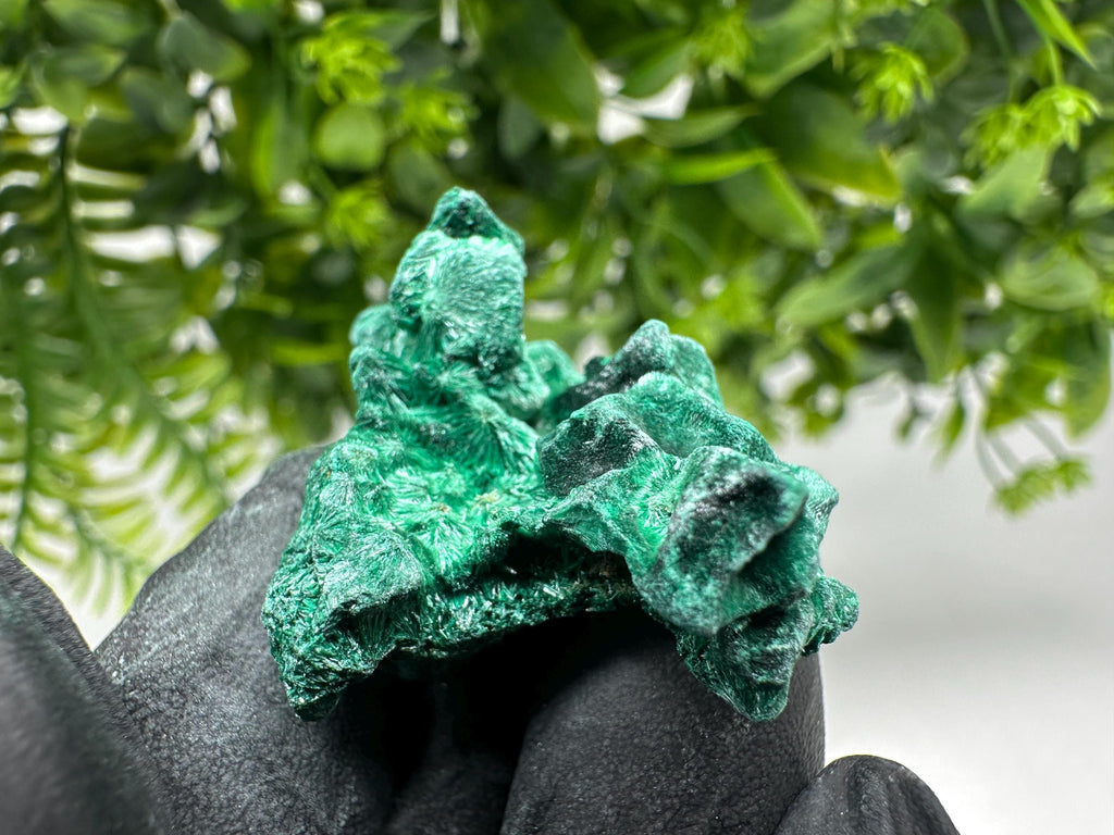 Malachite Crystal from Congo,Minerals,Crystals from Congo,Green Malachite, Malachite,Natural Malachite,Malachite Stone,Chakra, Specimens