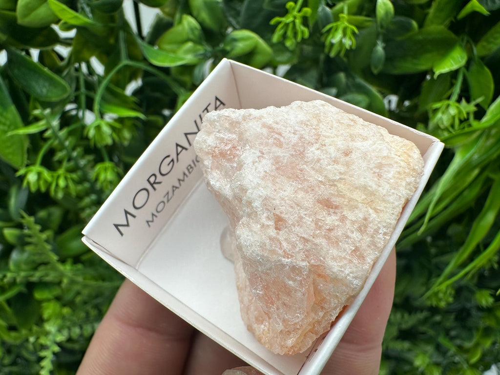 Rare Raw Morganite Mineral Specimen: Mozambique Crystal (4/4 cm)