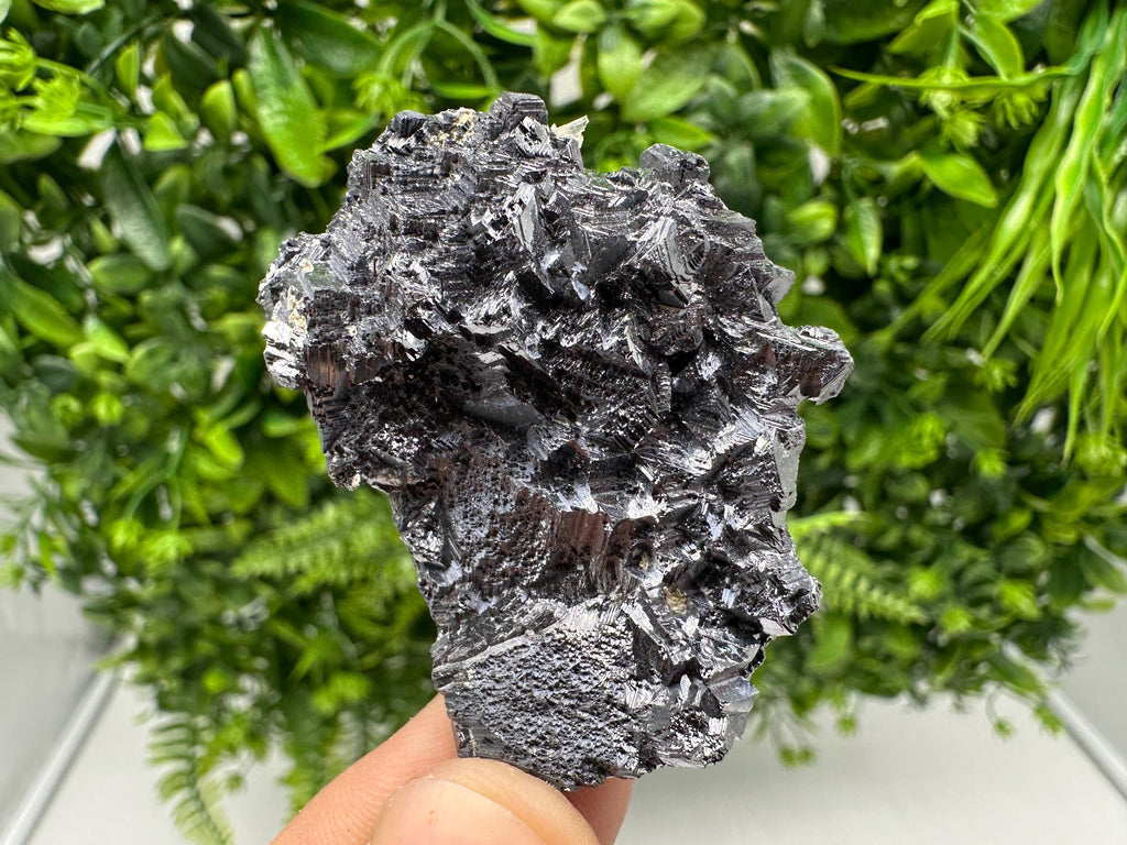 Galena Spinel Law Mineral Specimen: Krushev Dol, Bulgaria