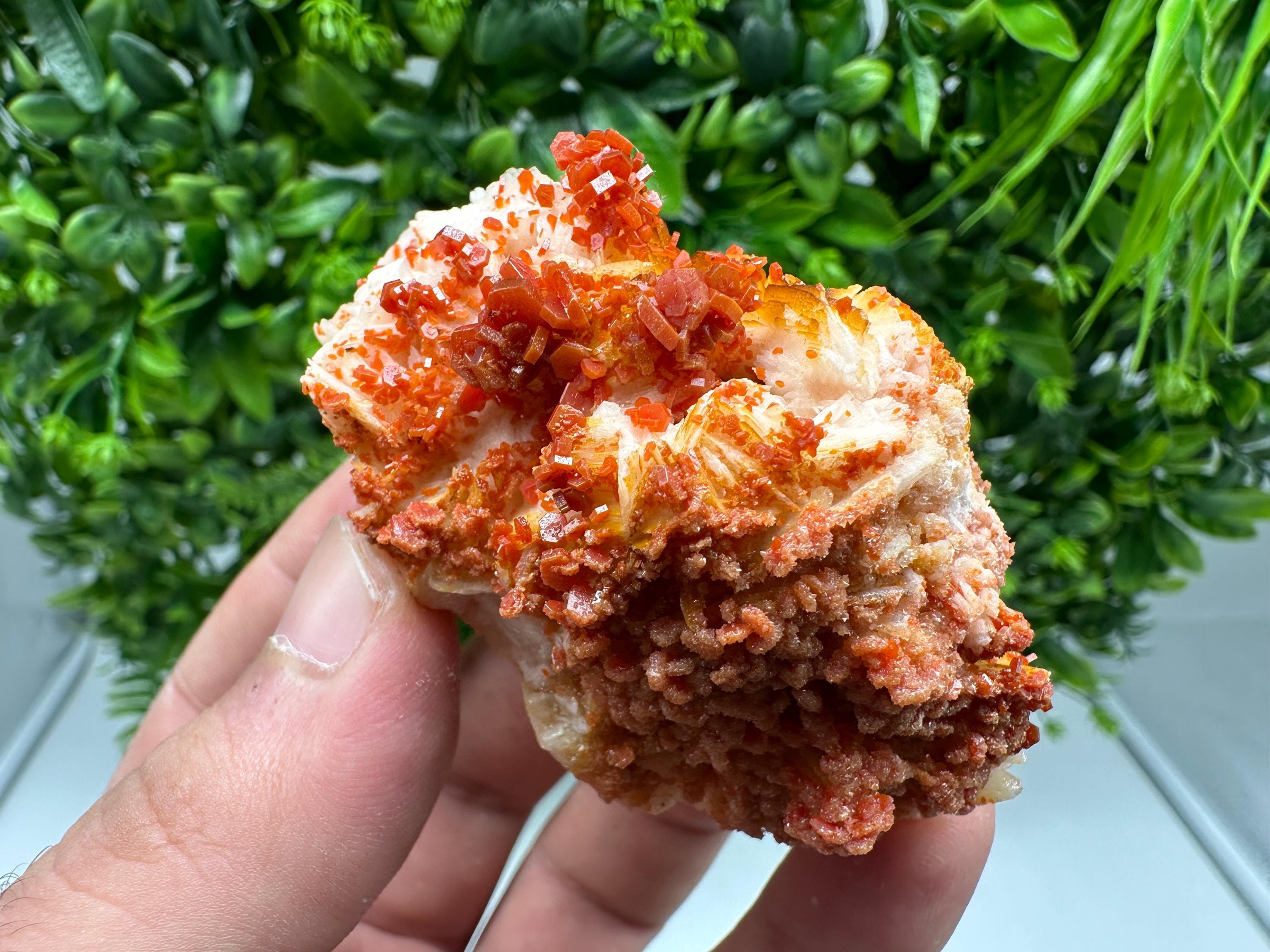 Red Vanadinite on Barite from Marocco,crystal minerals Speciment cluster Vanadinite crystal Vanadinite Geology Vanadinite cluster minerals