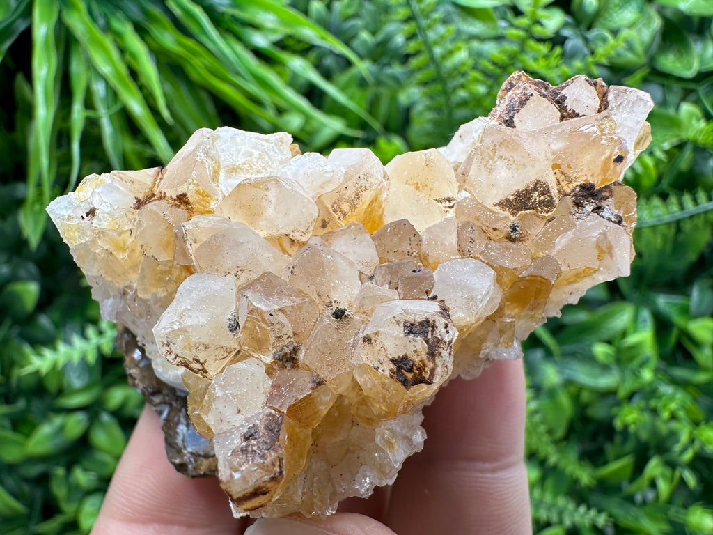 Citrine Crystal Cluster with Hematite Inclusions - Brazil