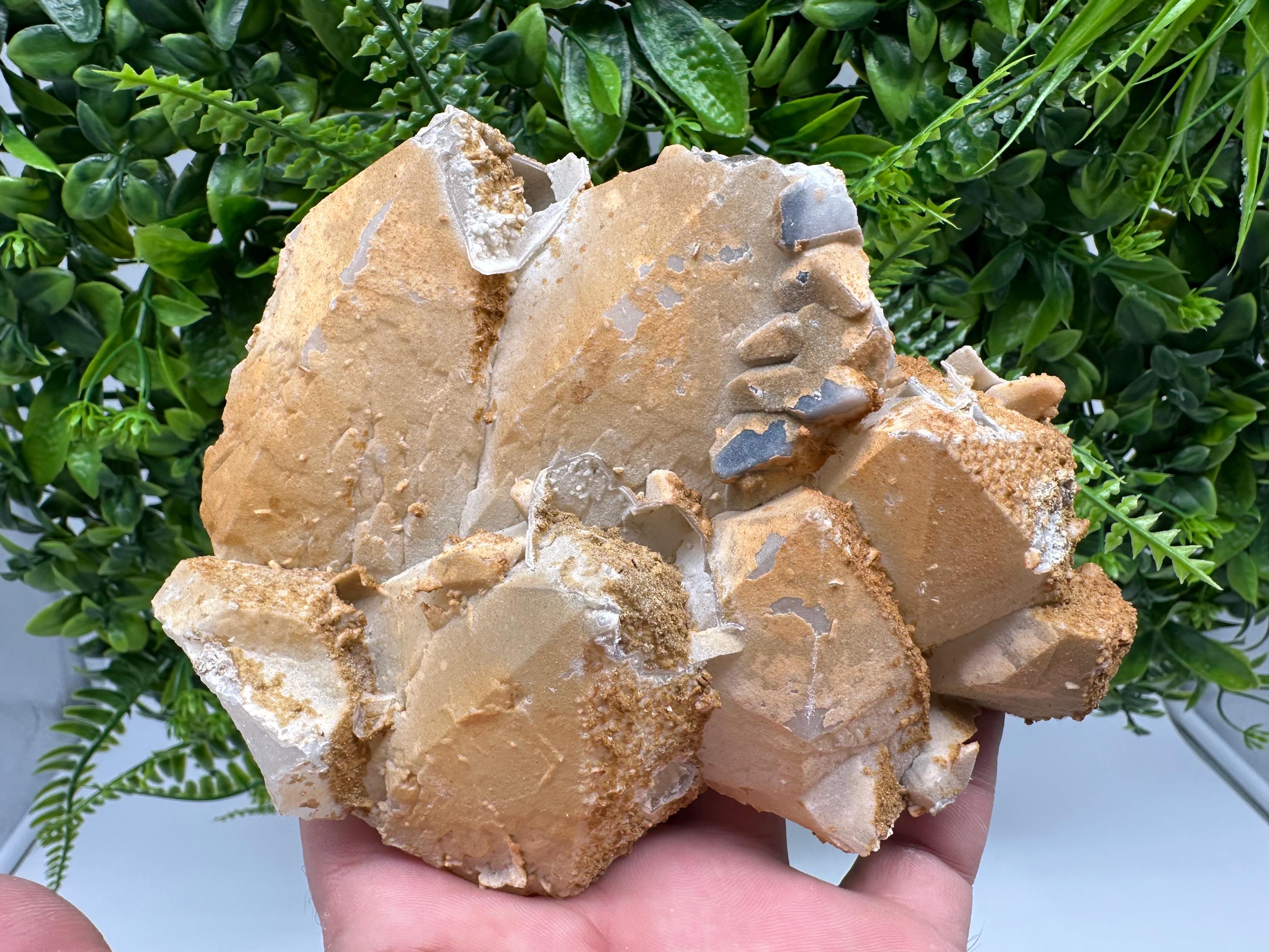 Limonite Coated Quartz Crystal, Djurcovo Mine, Bulgaria