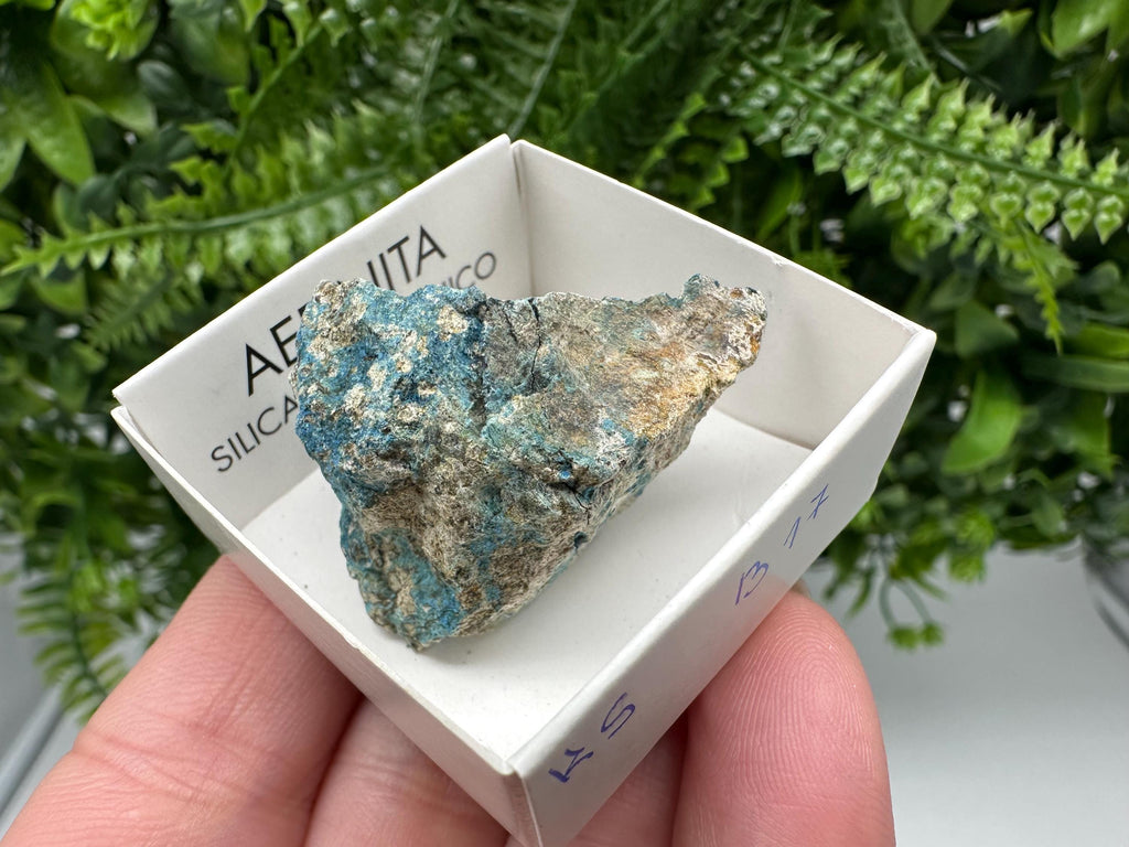 Rare Raw Aerinite Mineral Specimen: Lleida, Spain Crystal