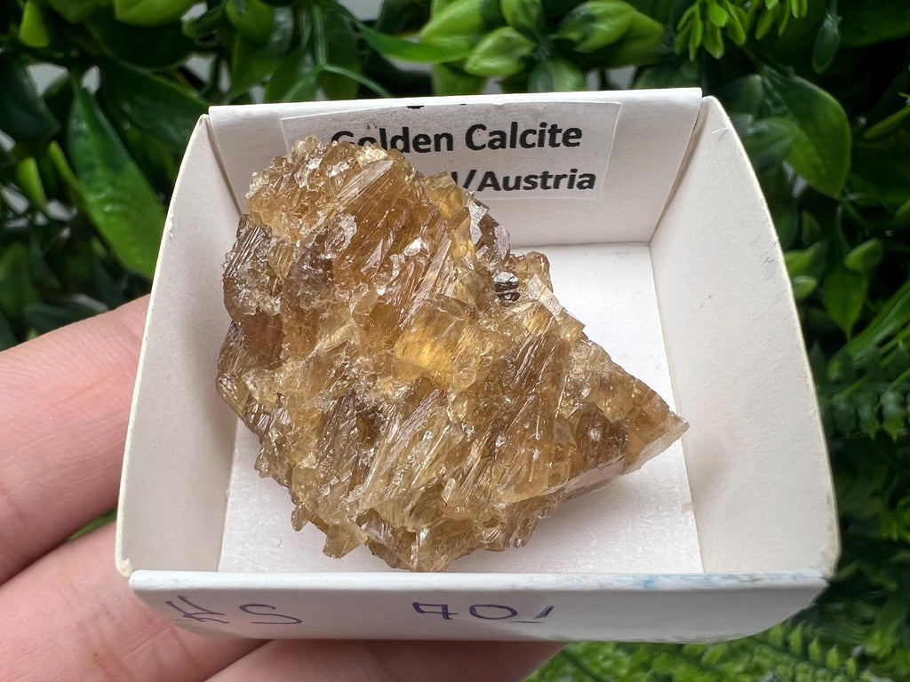 Raw Honey Calcite Stone: Golden Crystal (4/3 cm