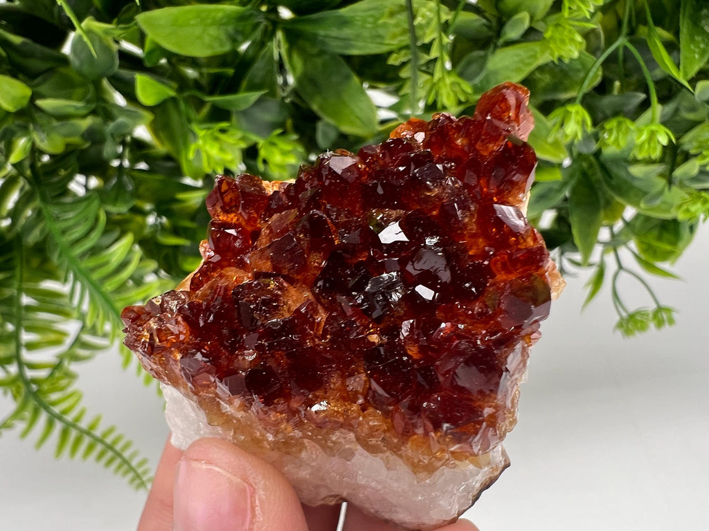 Brazilian Citrine Crystal Cluster with Hematite