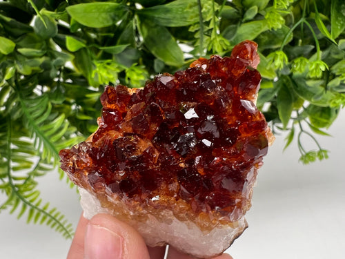 Brazilian Citrine Crystal Cluster with Hematite